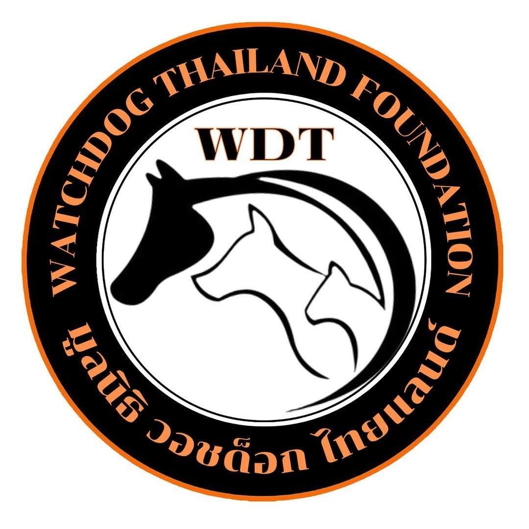 WDT logo